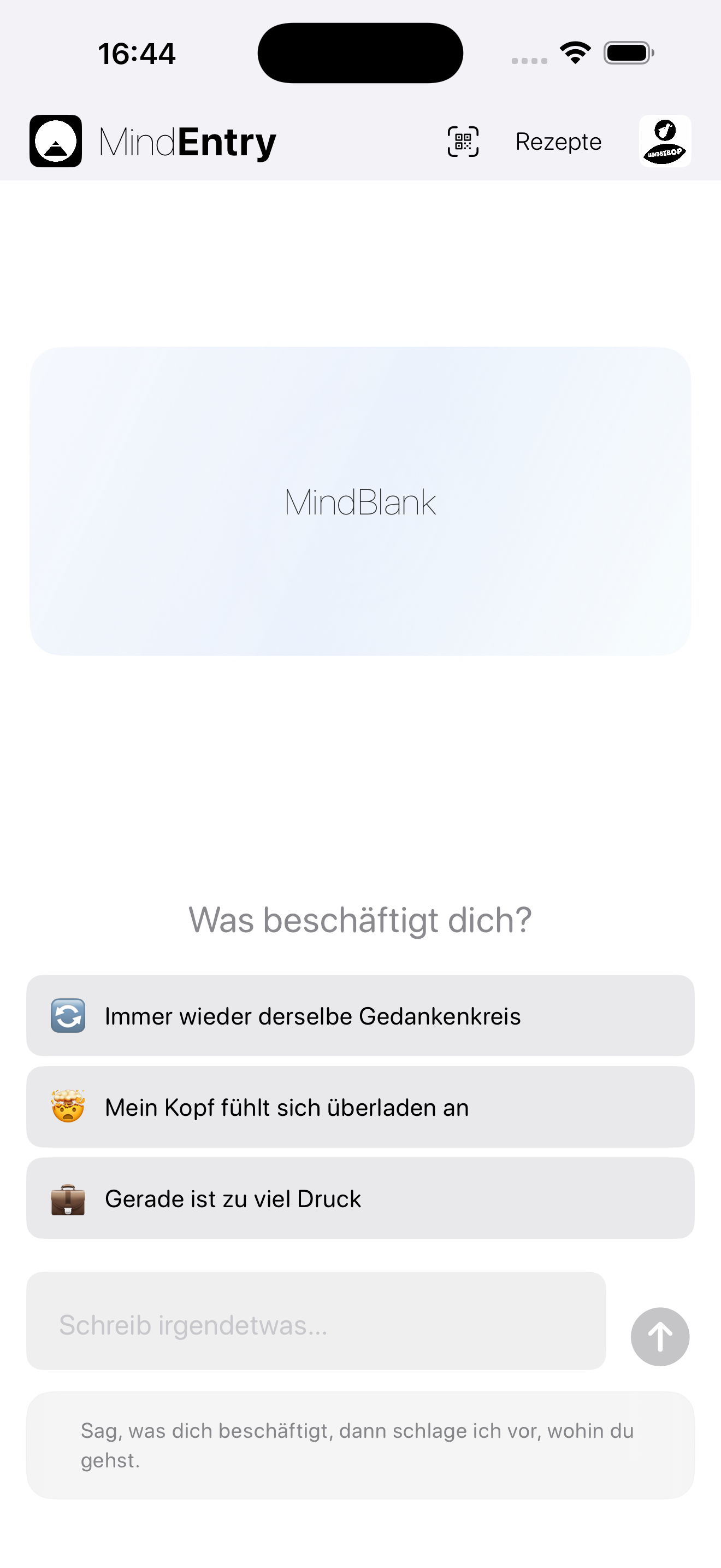 MindEntry screenshot