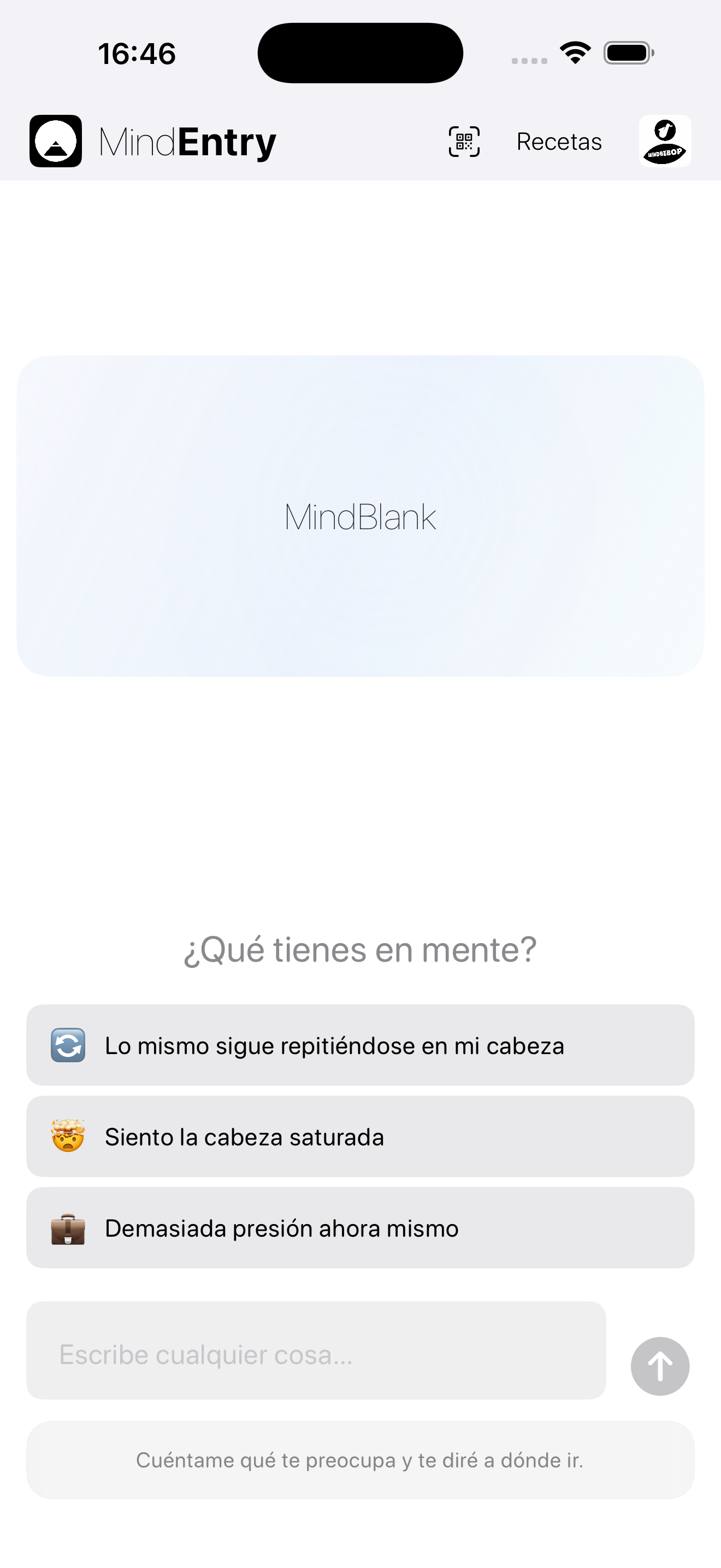 MindEntry screenshot