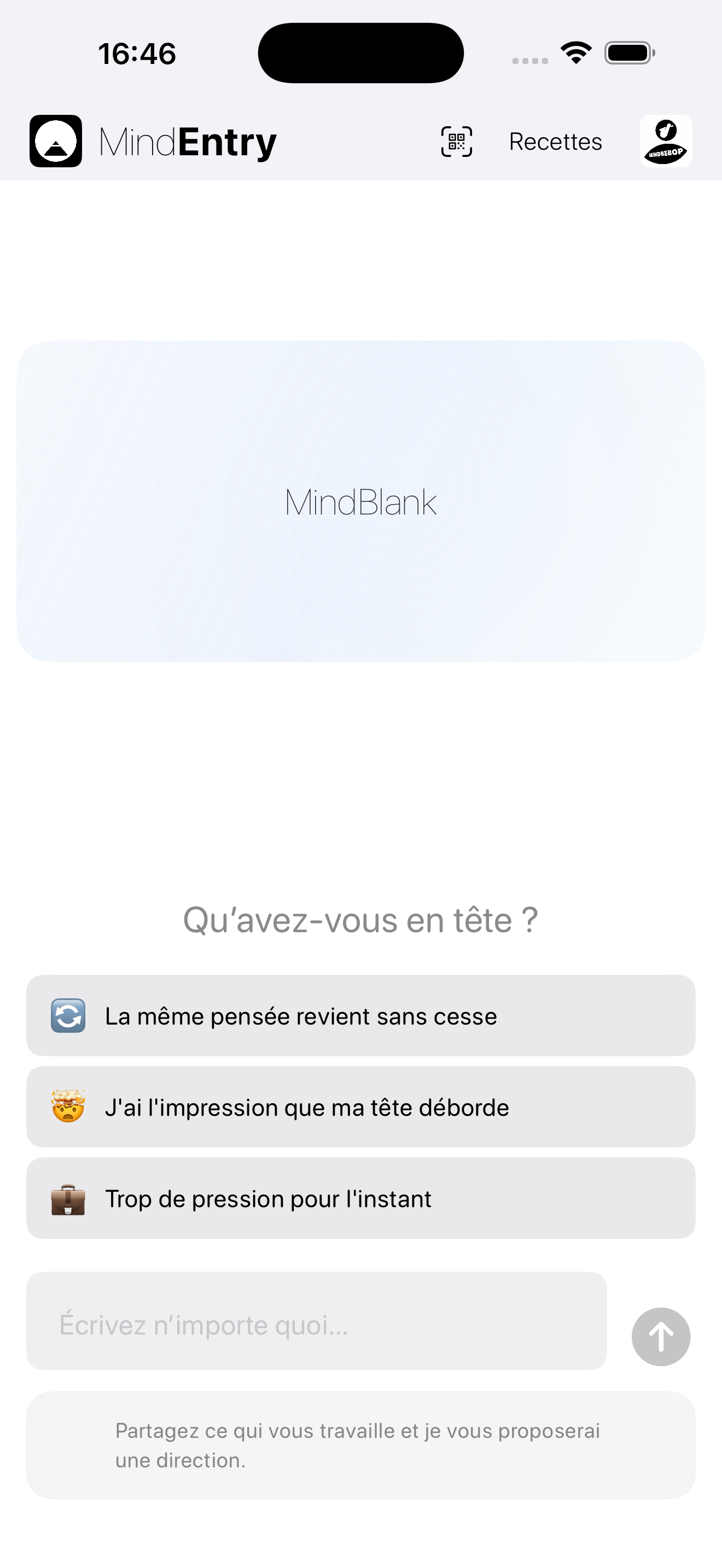 MindEntry screenshot