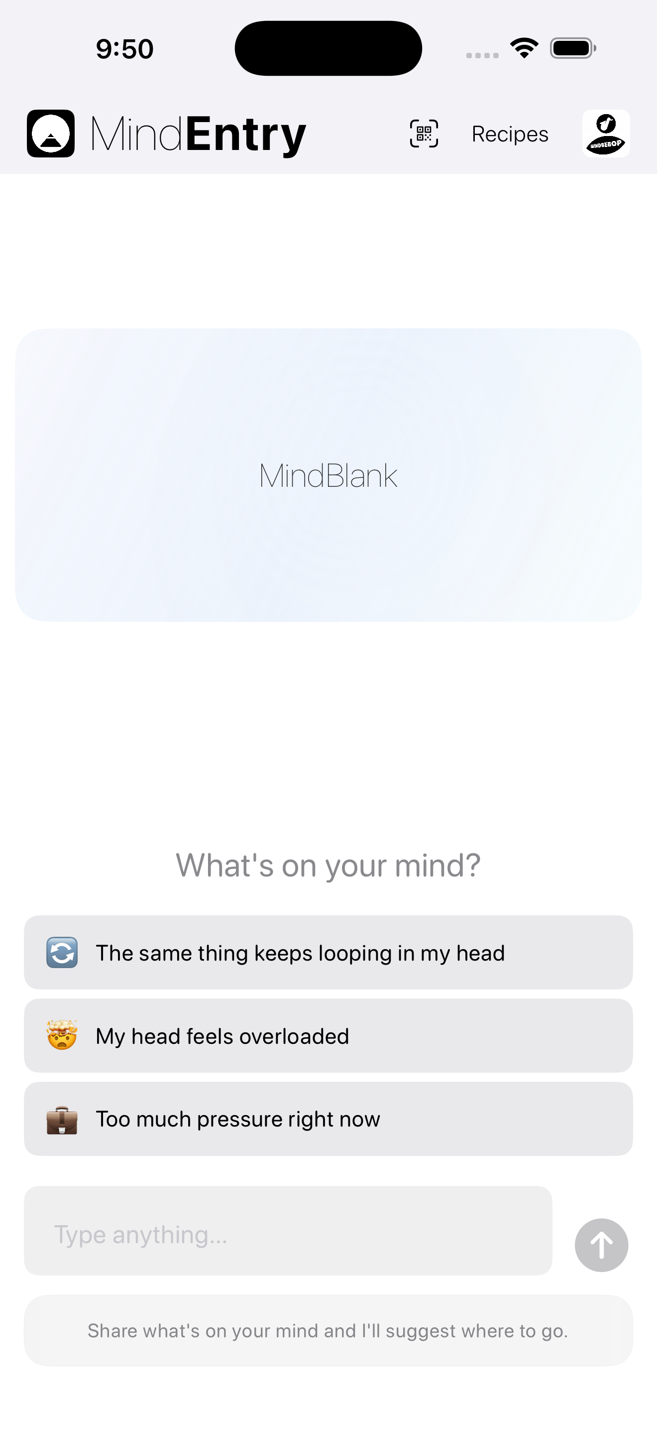 MindEntry screenshot