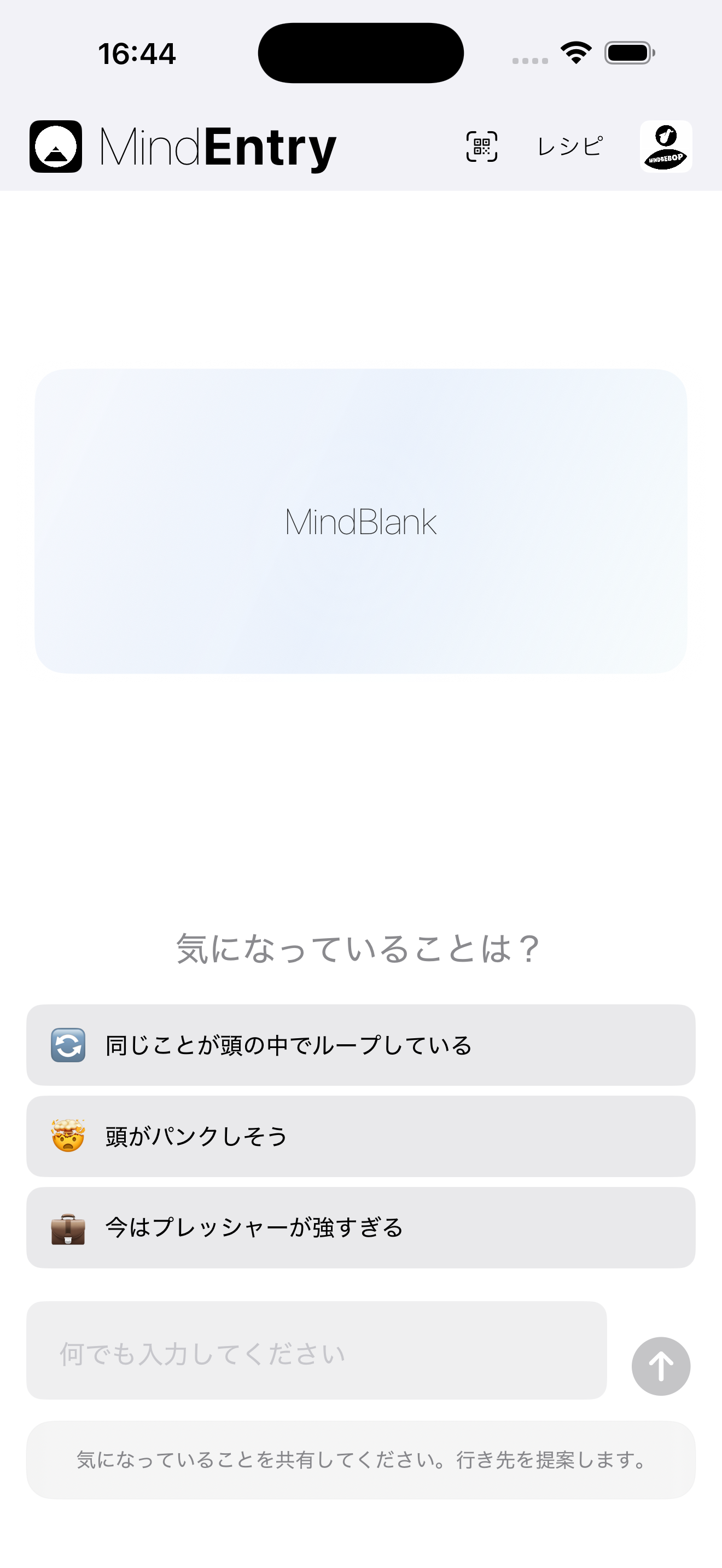 MindEntry screenshot