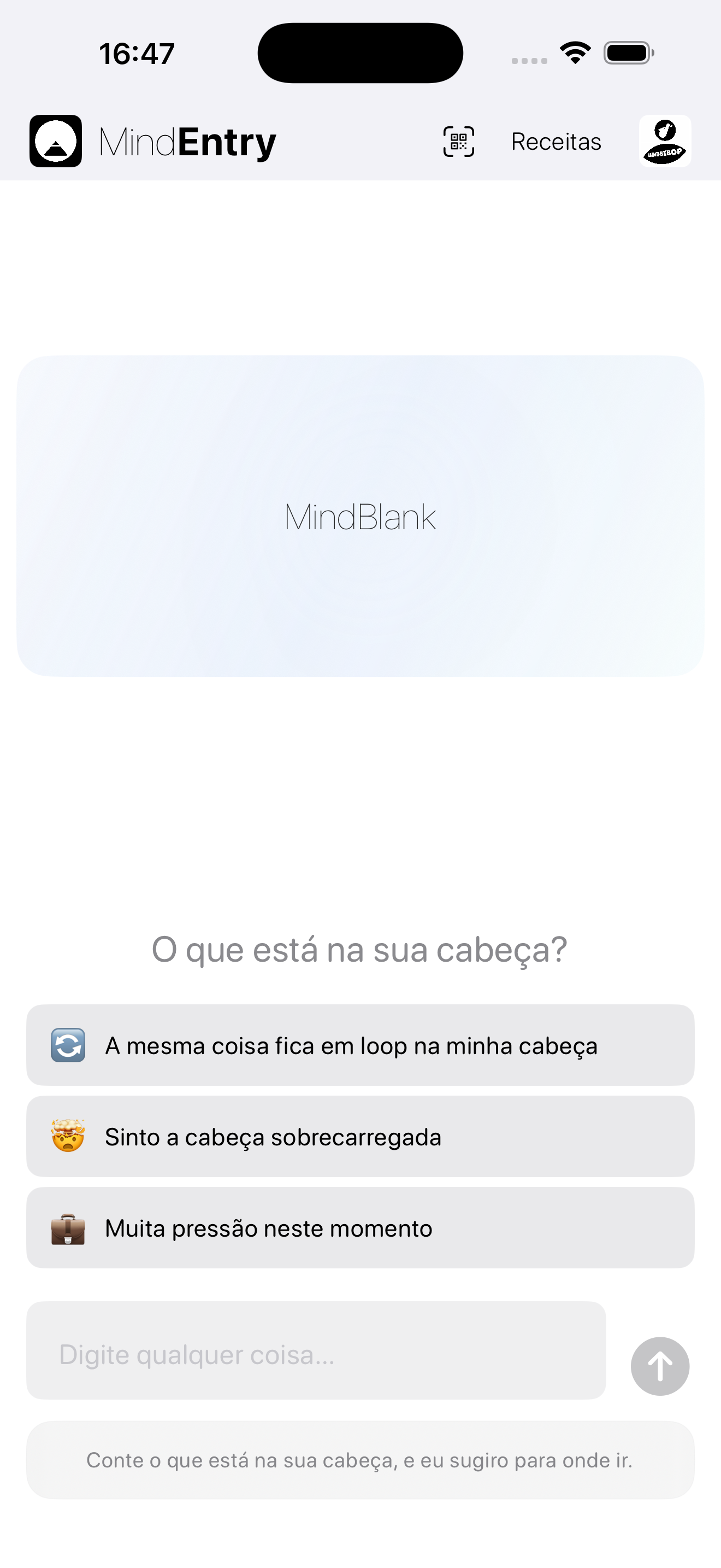 MindEntry screenshot